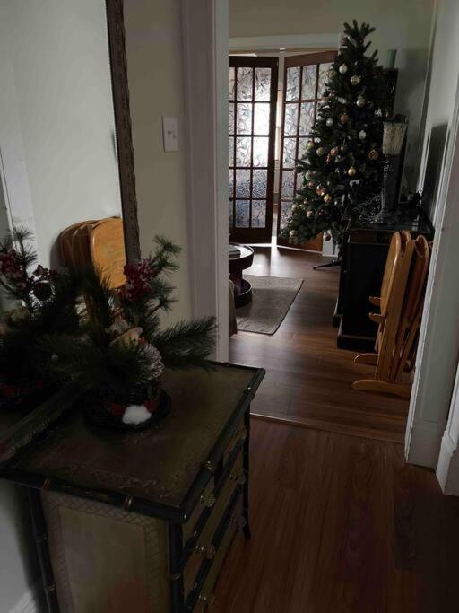 Redefined Alchemy - Bright, Eclectic, Pretty Apt 3E Little Falls Buitenkant foto